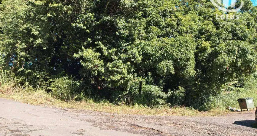 Terreno à venda, 1537 m² - Chácaras Santo Antônio do Jardim - Jaguariúna/SP