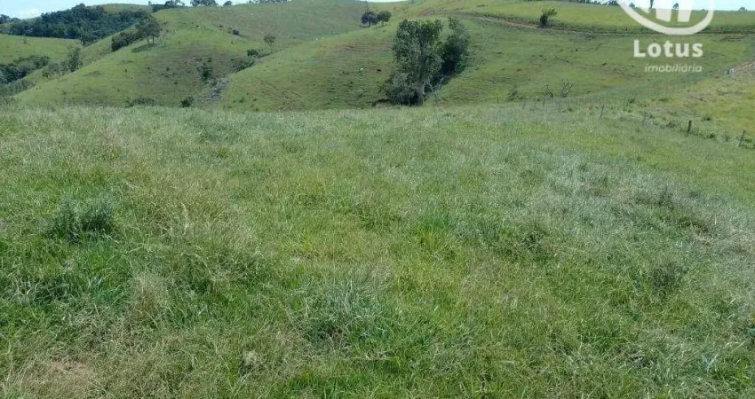 Fazenda à venda no Centro, Socorro 