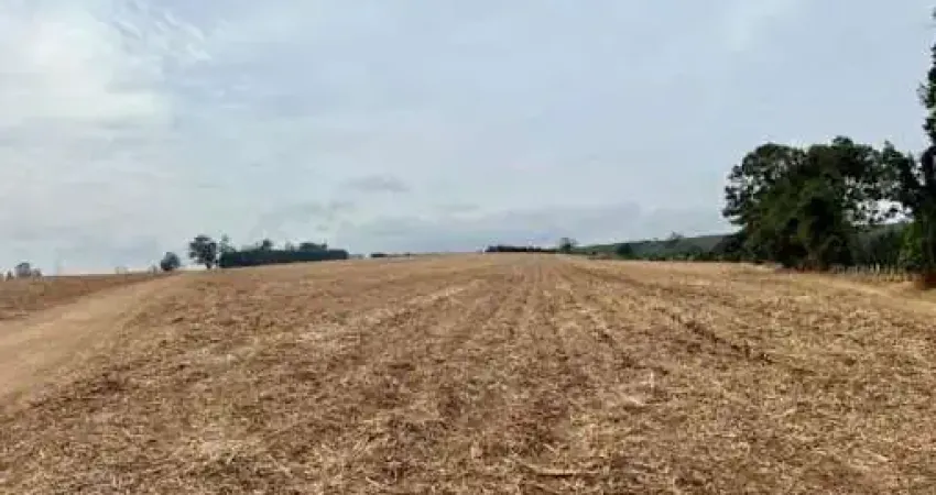 Fazenda à venda na Zona Rural, Brotas