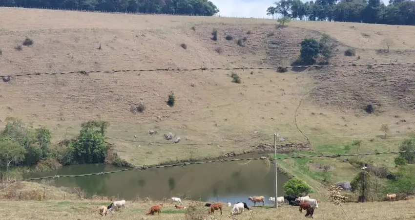 Chácara / sítio à venda no Centro, Divinolândia 