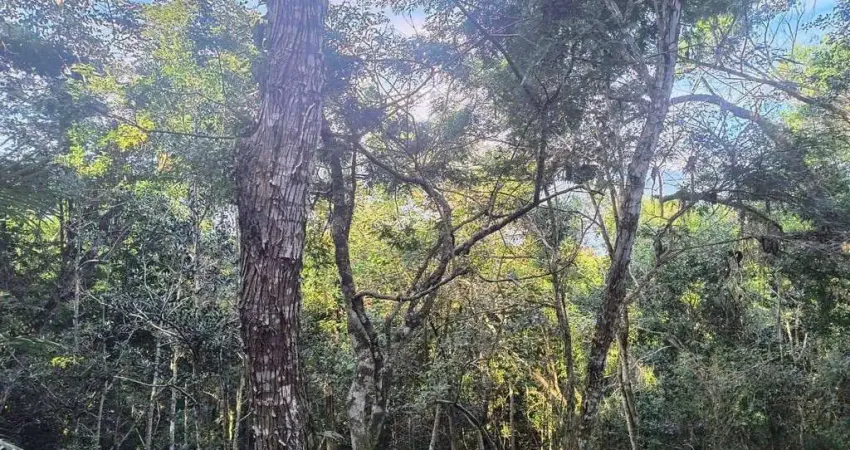 Terreno à venda no Cigarras, São Sebastião 