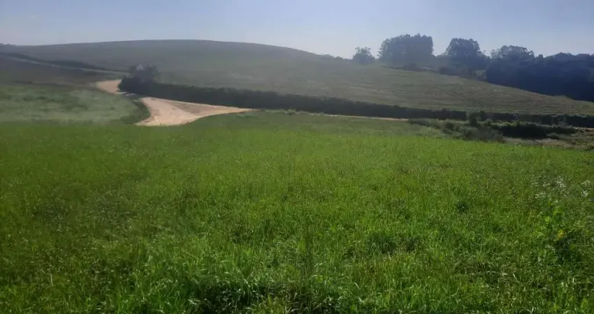 Excelente área de 78.727,62m² (3,26 alqueires) Excelente localização a 9 km do Centro de Araucária, a apenas 800m do asfalto - APENAS R$ 1.700.000,00