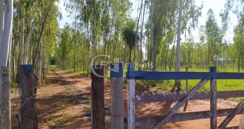 Chácara / sítio com 6 quartos à venda na Chacara, Centro, Terenos