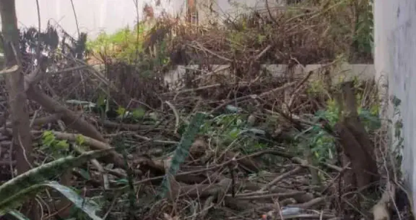Terreno à venda na Rua Rodrigues Batista, 76, Aclimação, São Paulo
