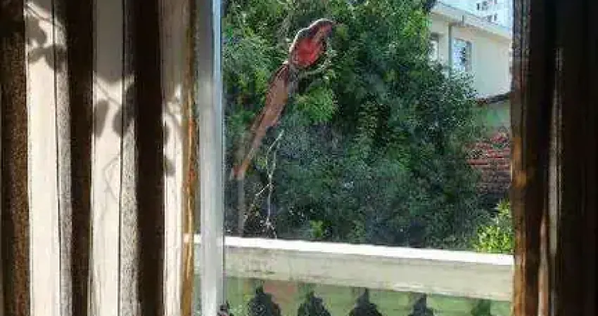 Apartamento de 85m², no bairro santa terezinha em são bernardo do campo - sp