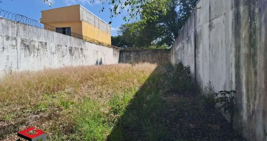 Terreno para aluguel Baeta Neves - São Bernardo do Campo - SP