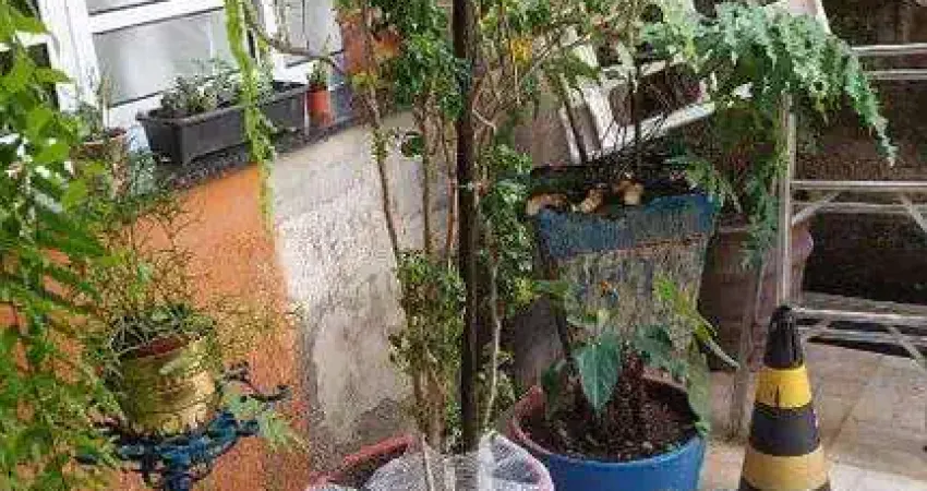 Casa com 3 quartos à venda na Rua das Glicínias, 121, Mirandópolis, São Paulo