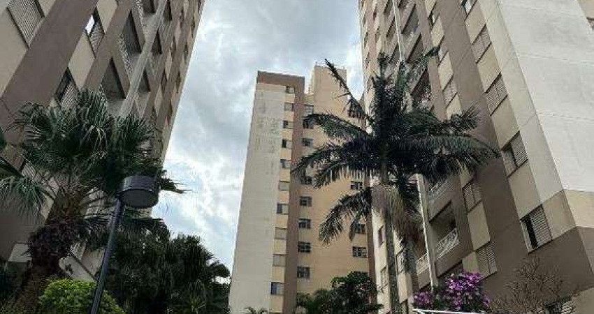 Apartamento à venda 3 quartos 1 vaga Baeta Neves - São Bernardo do Campo - SP