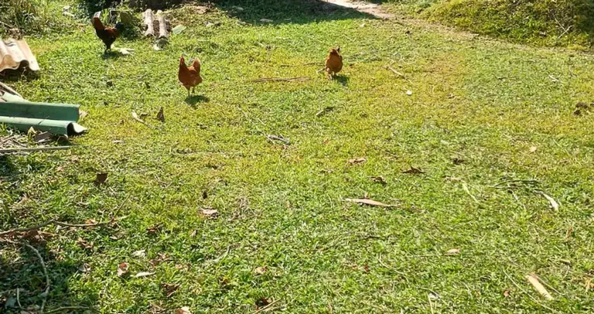 Vendo terreno em ribeirão pires, próximo ao centro, ótimo para investimento