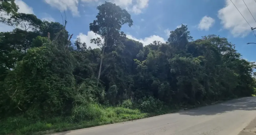 Terreno a venda em ouro fino paulista, excelente localização