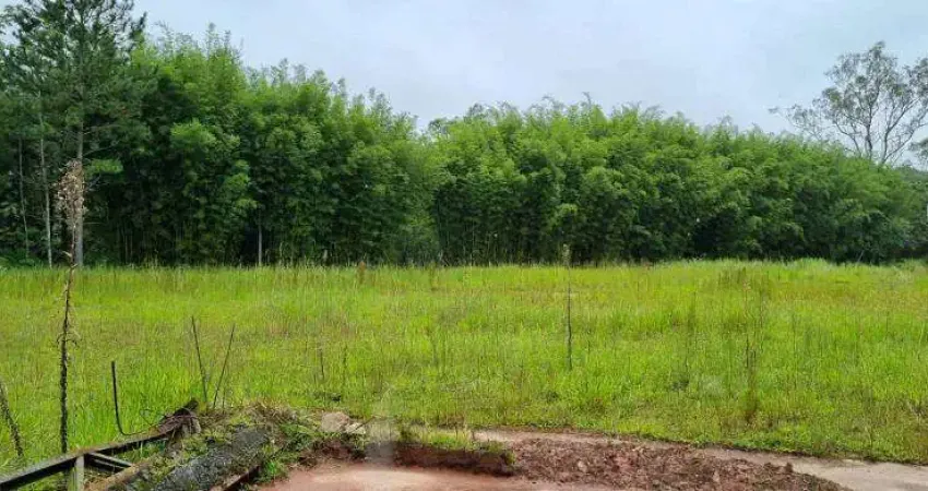 Terreno à venda na Rodovia Índio Tibiriçá, Palmeiras de São Paulo, Suzano