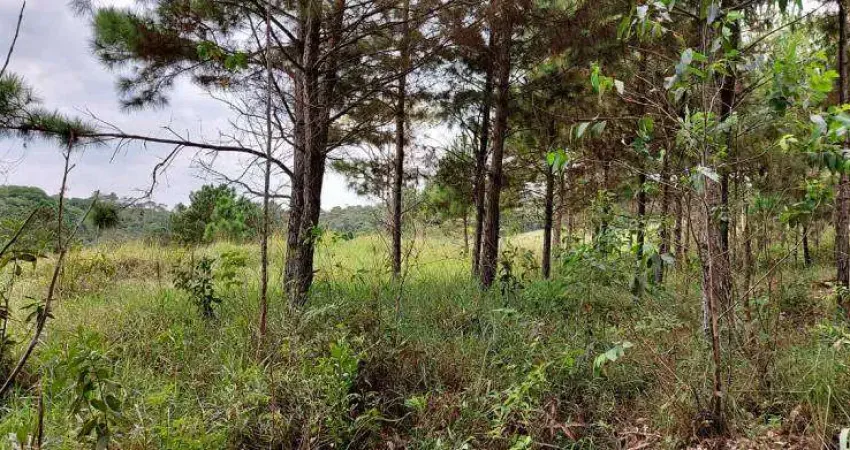 Área a venda em suzano, ideal para loteamento, apartamentos, está há 20 minutos do centro.