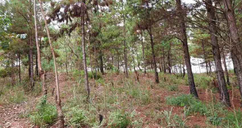 Terreno comercial à venda na Estrada Keida Harada, Ipelândia, Suzano
