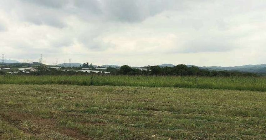 Chácara / sítio com 3 quartos à venda na Viela Cinco, Parque das Varinhas, Mogi das Cruzes