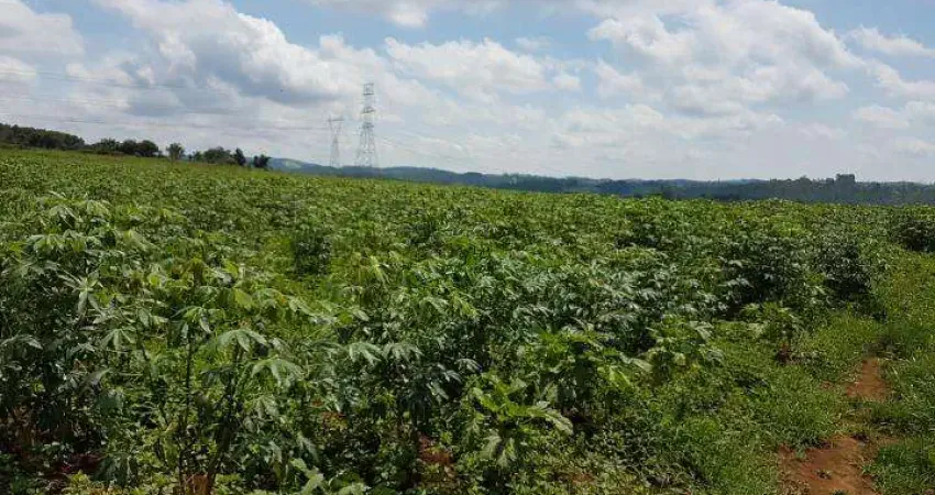 Area a venda em suzano, ideal para lavoura ou investimento, confira