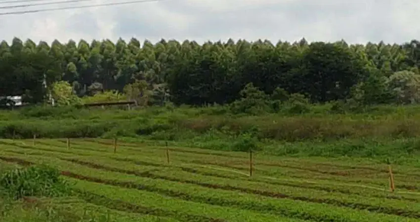 Terreno à venda na Estrada Keida Harada, Ipelândia, Suzano