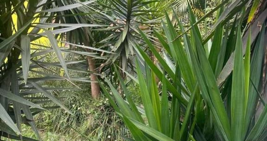 Terreno à venda em Santo Amaro, São Paulo 