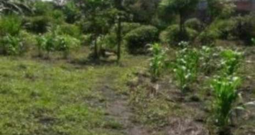 Guarulhos, Terreno Comercial/Residencial de 2000m².