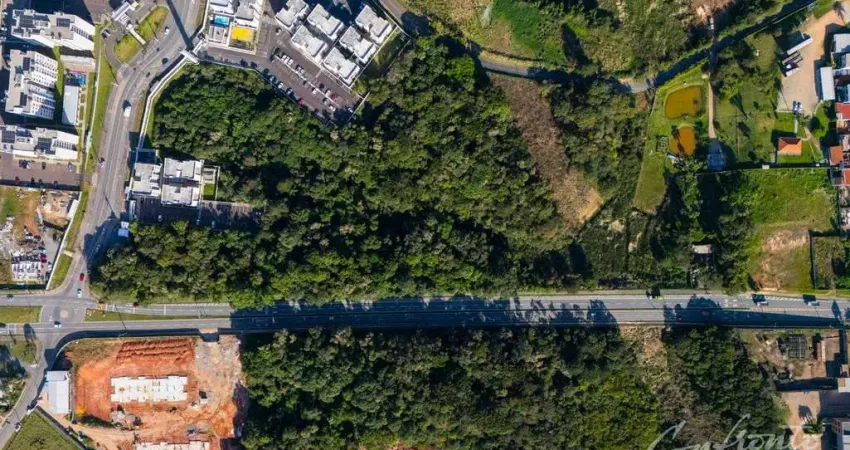 Terreno à venda na Avenida Rui Barbosa, 12401, Aristocrata, São José dos Pinhais