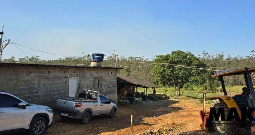Área à venda, 70000 m² por R$ 6.300.000 - Fazenda Aya - Suzano/SP