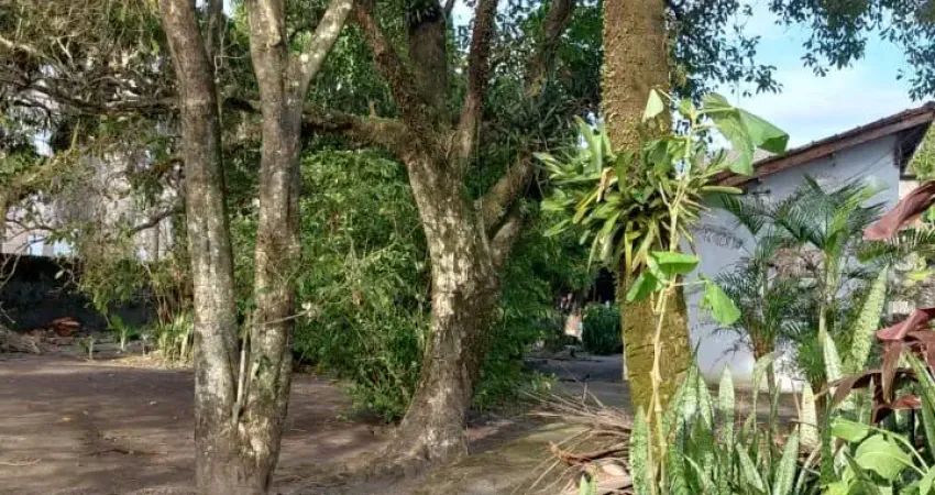 Terreno à venda no Samarita, São Vicente 