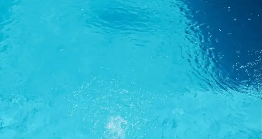 Sobrado á venda com piscina/ 3 dorm./ 10 vagas/ Espaço gourmet/ George Oeterer