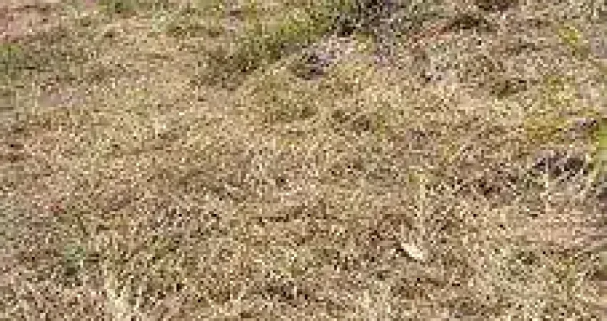 Terreno à venda, 1000 m² por r$ 600.000 -  colônia - jundiaí/sp