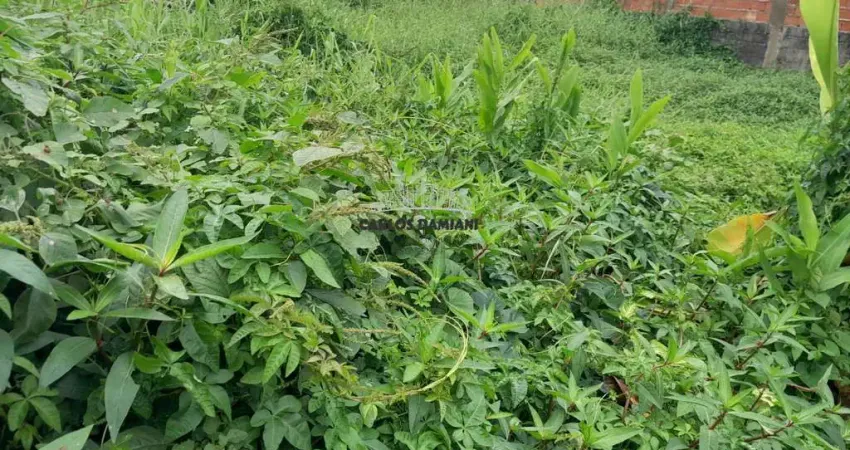 Terreno à venda no Balneário Tupy, Itanhaém 