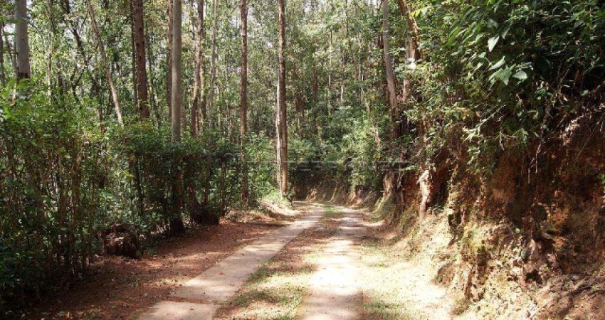 Chácara / sítio com 3 quartos à venda na Avenida Luiz Gobbo, Chácara da Mirian - 0, s/nº, Santa Clara, Jundiaí