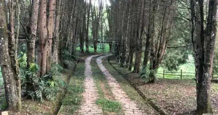 Chácara / sítio com 5 quartos à venda na Avenida Luiz Gobbo, 3400, Santa Clara, Jundiaí