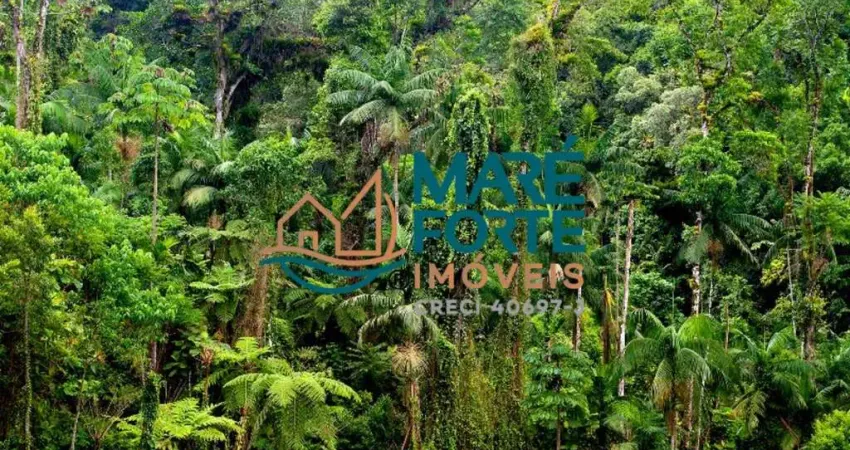 Terreno comercial à venda em Toninhas, Ubatuba 