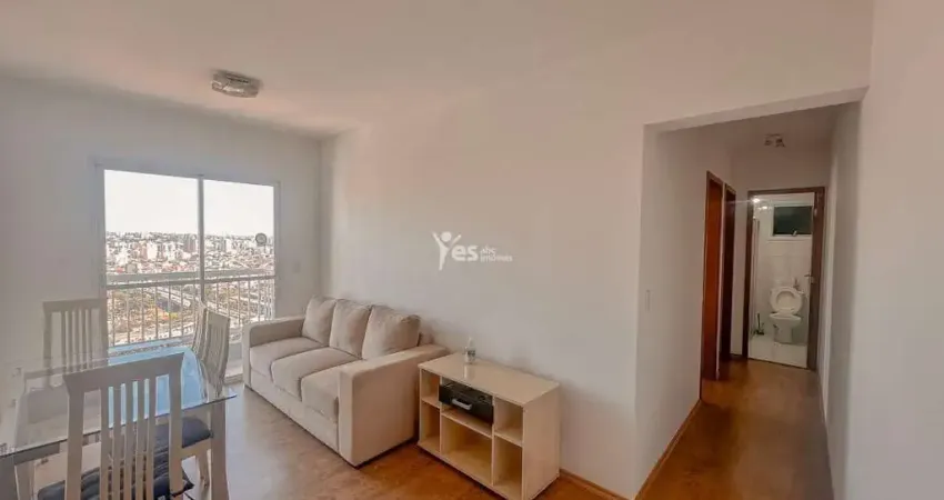 Aluguel de apartamento em vila príncipe de gales, santo andré - ótima oportunidade