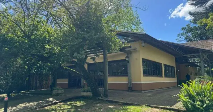 Chácara / sítio com 4 quartos para alugar na ESTRADA MARIA DA CONCEIÇÃO FRAGA, 1000, California, Nova Santa Rita