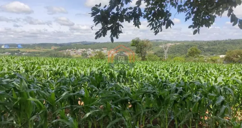 Chácara / sítio à venda na Estrada da Borracha, Ponte Alta, Atibaia