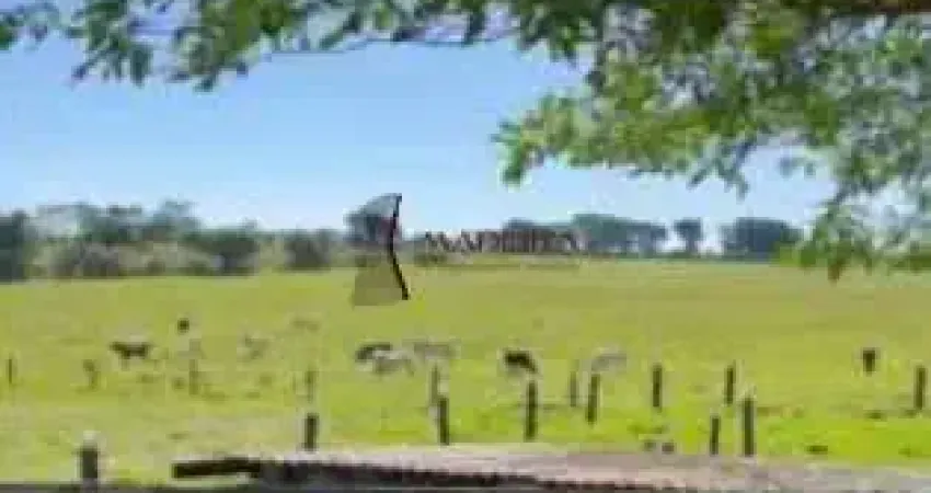 Propriedade Rural à venda, Centro - Cruzeiro do Oeste/PR