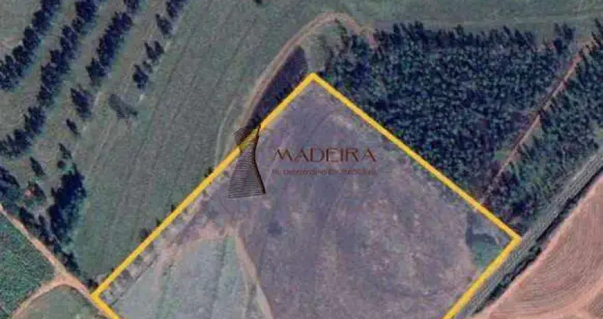 Chácara / sítio com 3 quartos à venda no Zona Rural, Cidade Gaúcha 