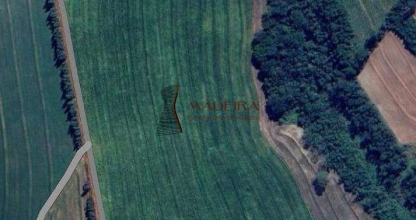 SITIO A VENDA EM NOVA ESPERANÇA PR - 10 ALQUEIRES
