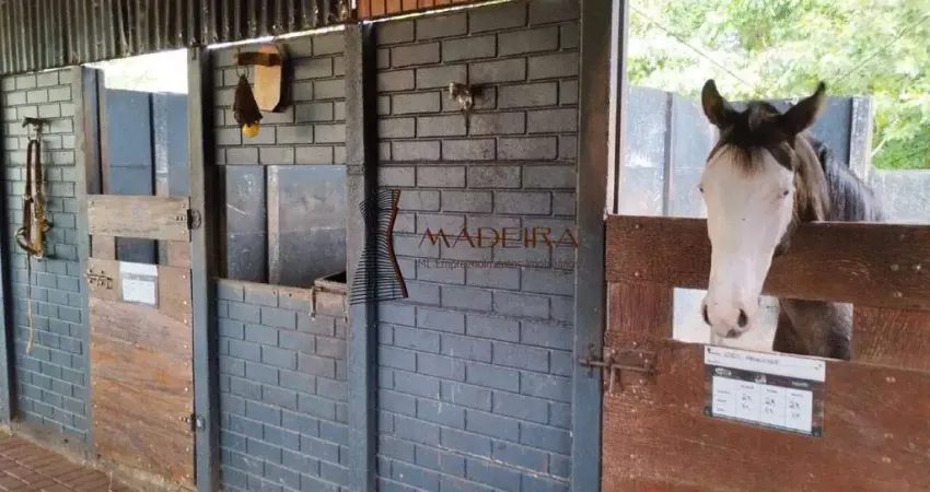 Haras alto padrão a venda para pessoas exigentes 2 alqueires.