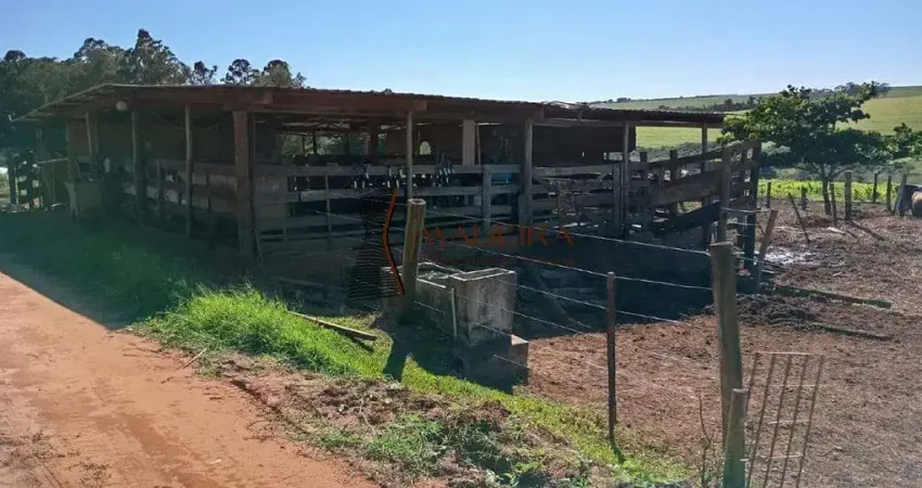 Chácara / sítio à venda na Zona Rural, Santa Fé 