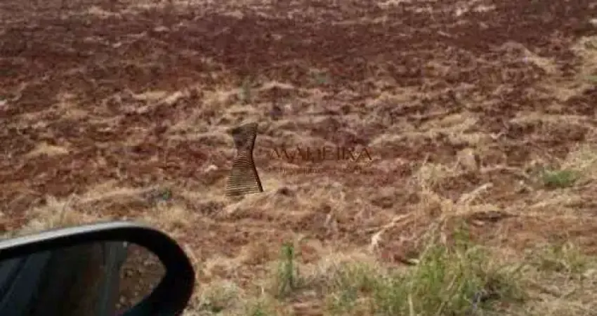 ÁREA PARA LOTEAMENTO EM ARAPONGAS - PR