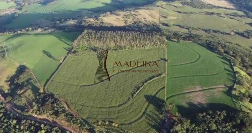VENDE-SE SÍTIO 8 ALQUEIRES DE TERRA ROCHA EM JANDAIA DO SUL PR