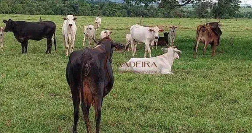 Chácara / sítio à venda no Centro, Terra Rica 