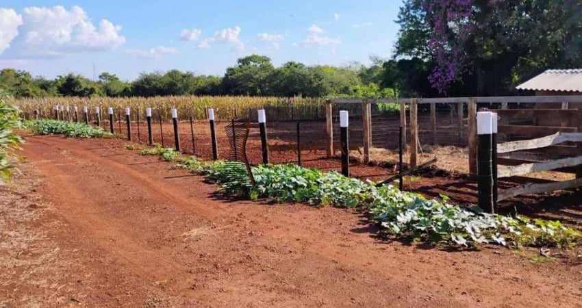 Sítio a venda em Maringá - Paraná