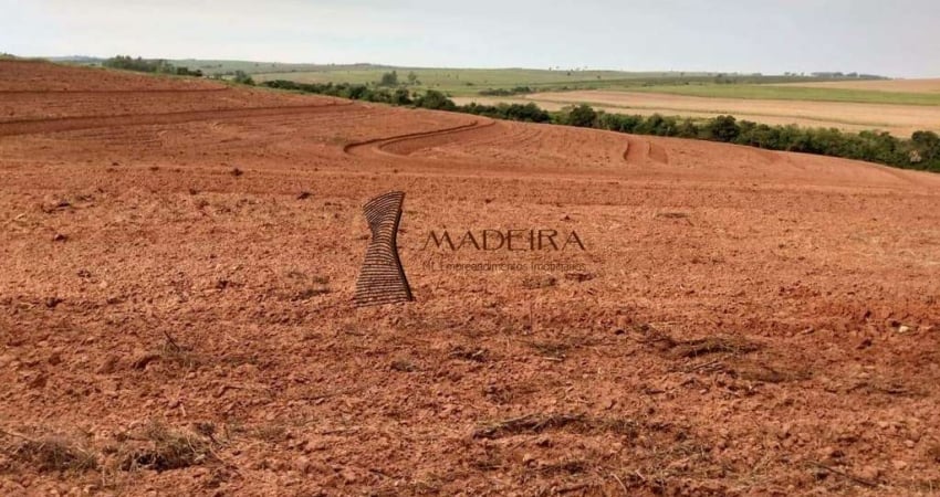 Chácara / sítio à venda no Centro, Umuarama 