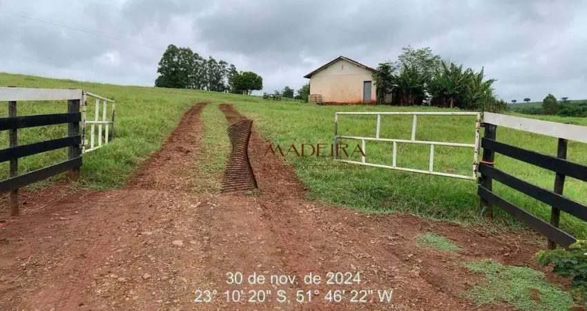 Sítio Produtivo à Venda em Munhoz de Mello – 1,97 Alqueires a 500m do Asfalto
