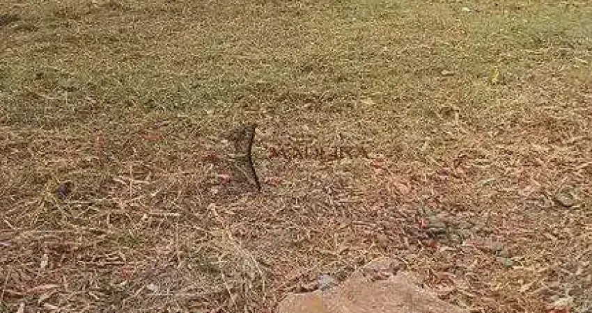 Terreno à venda na Jardim Grécia, 182, Loteamento Jardim Grécia, Porto Rico