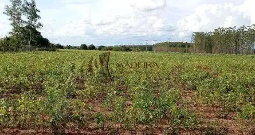 Vende-se chácara de 5.000m em presidente castelo branco-pr