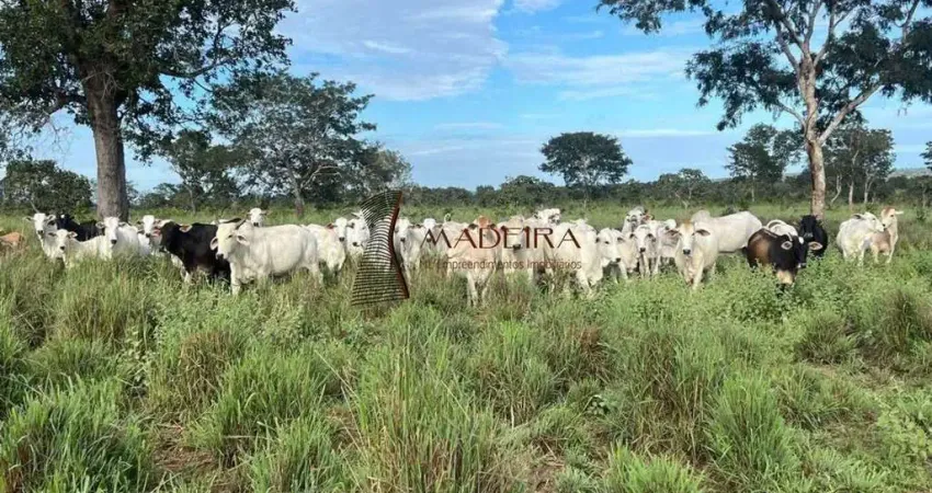 Chácara / sítio com 1 quarto à venda na Estrada Rural, 67, Zona Rural, Novo São Joaquim