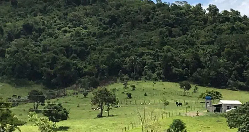 Chácara / sítio à venda no Centro, Paraibuna 