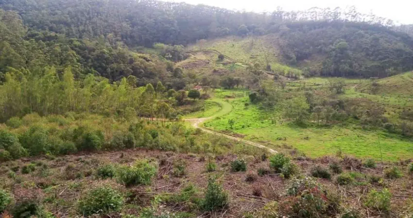 Chácara / sítio com 1 quarto à venda no Bairro do Cedro, Paraibuna 
